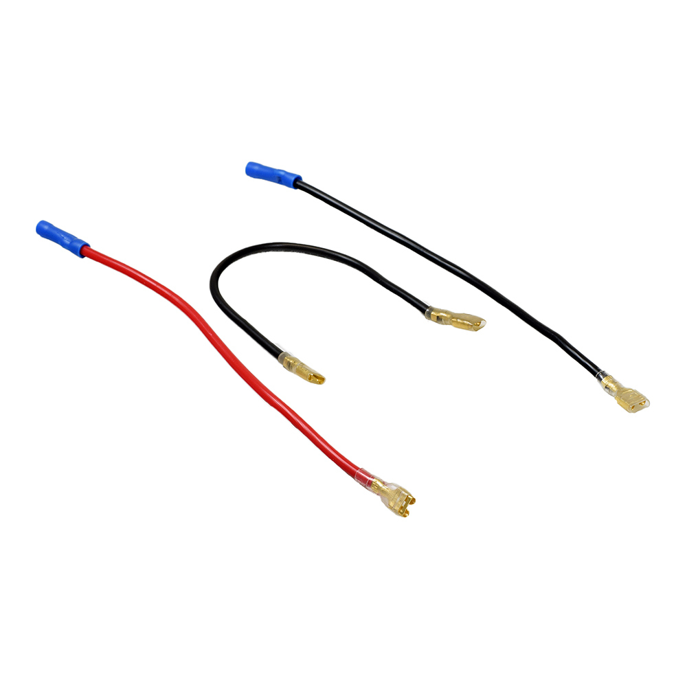 Wiring Harnesses & Connectors