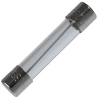 10 Amp GMA Glass Fuse